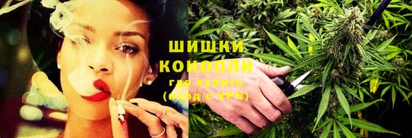 крисы Инта