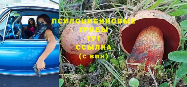 хмурый Белоозёрский